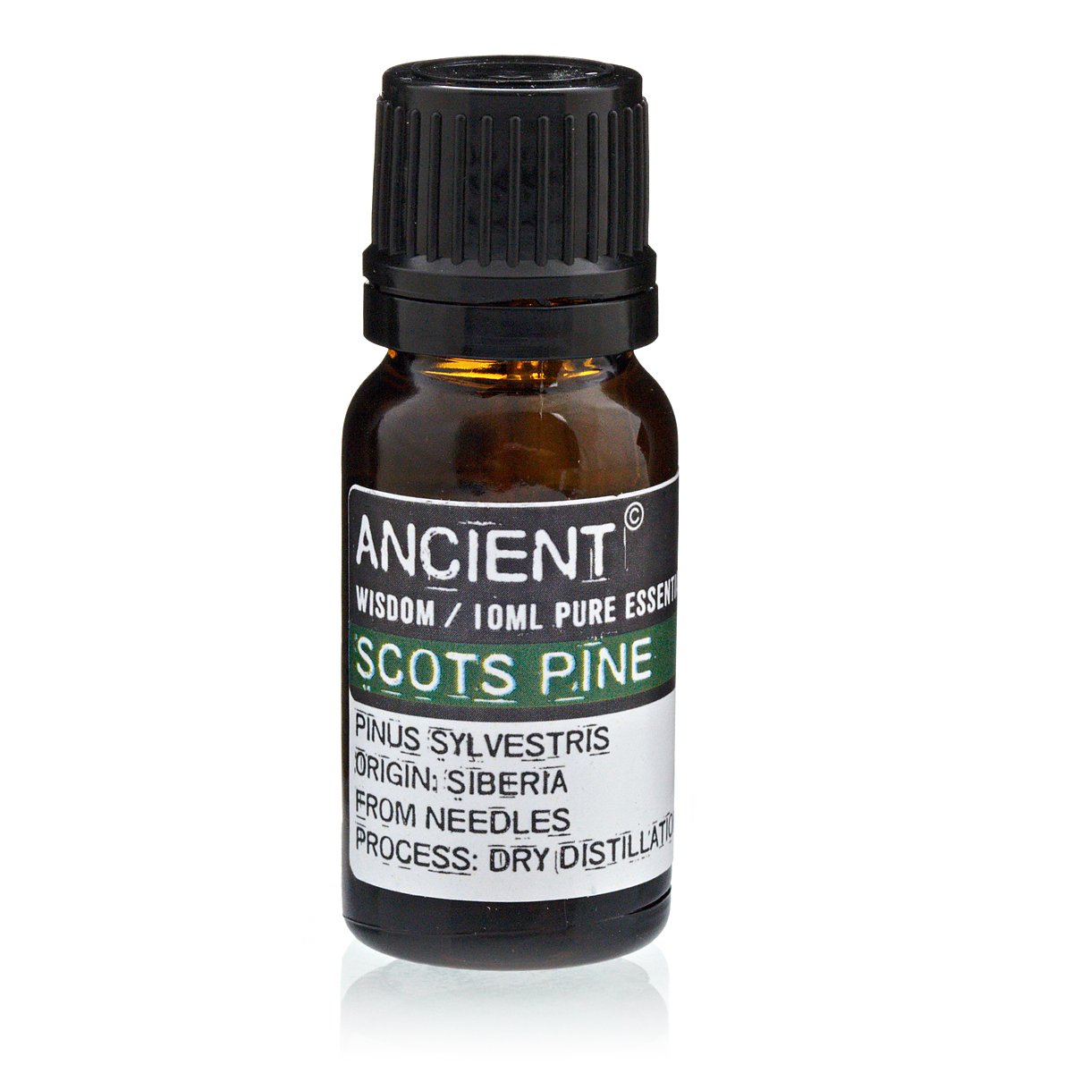 pine sylvestris (scots pine) essential oil 10ml (copy) pine sylvestris (scots pine) essential oil 10ml (copy)