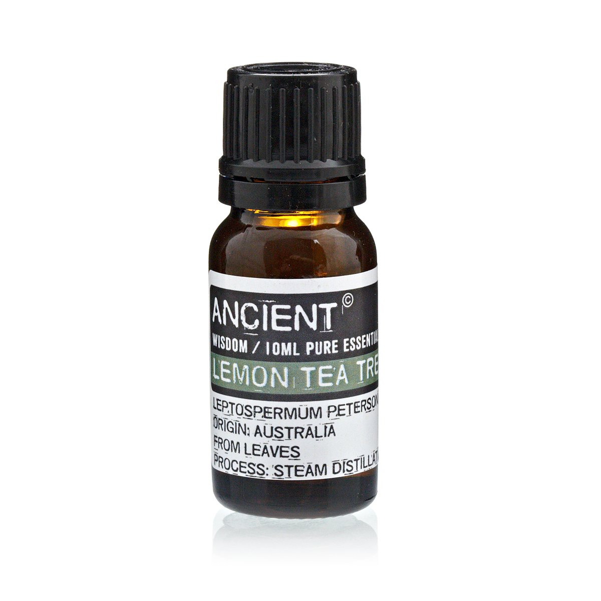 pine sylvestris (scots pine) essential oil 10ml (copy) pine sylvestris (scots pine) essential oil 10ml (copy)